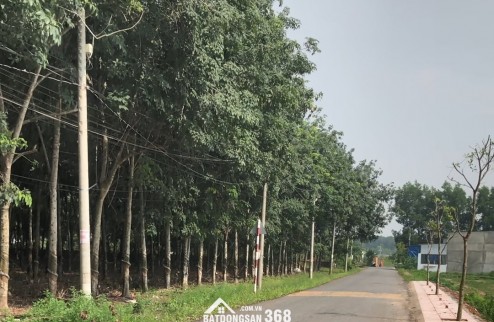 Bán mặt tiền nhựa liên ấp, gần ngã tư Gia Vĩnh, An Viễn, Đồng Nai